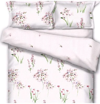 暑熱來襲 紫羅蘭為您清涼降溫